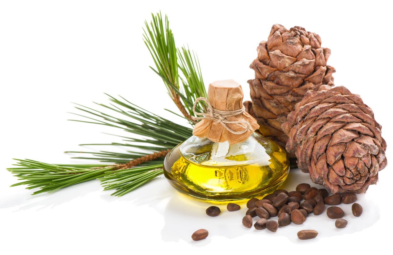 bottle of pine essential oil with pine cones and needles
